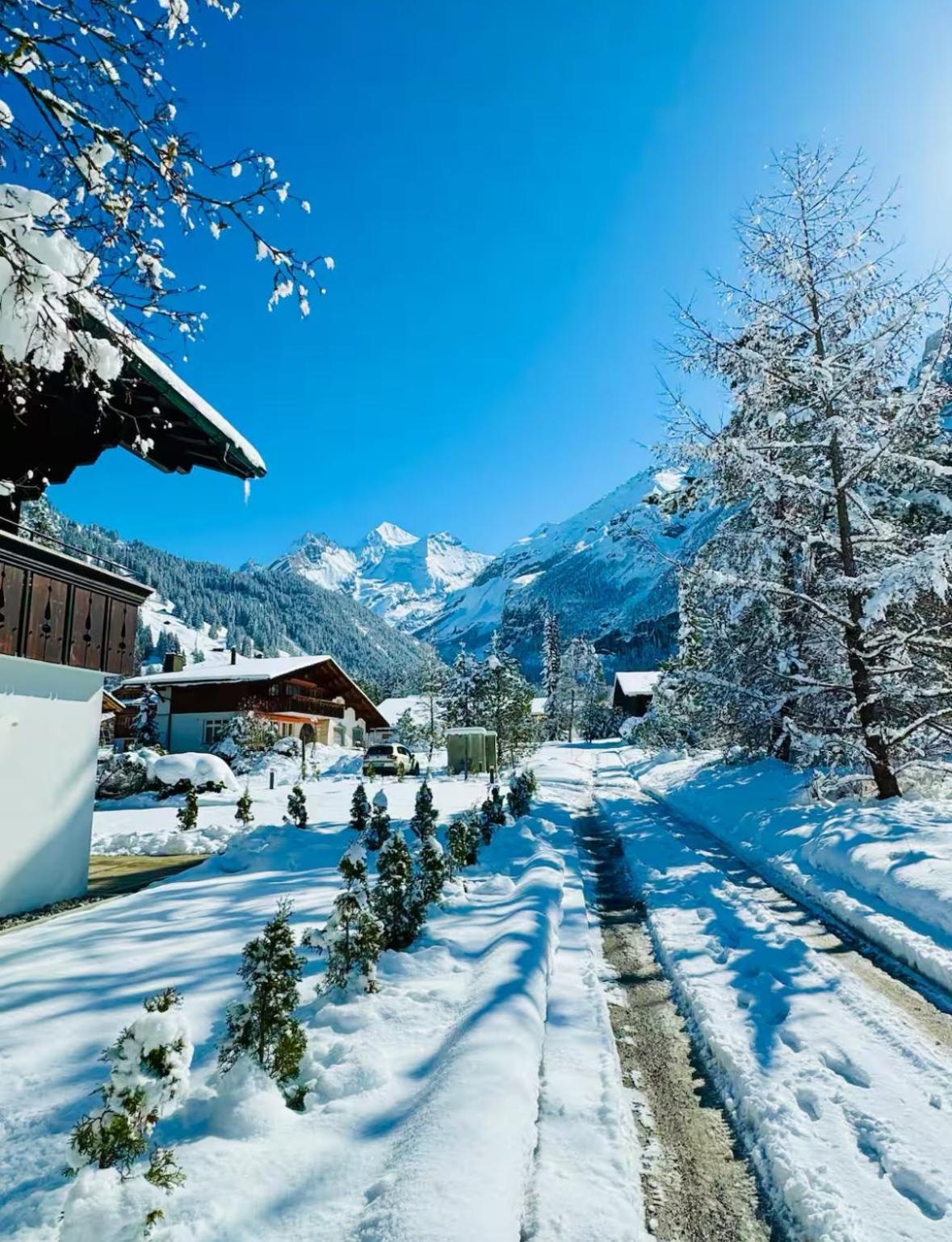 Cute & Cozy Oasis, Private Afternoon Sun Terrace Daire Kandersteg Dış mekan fotoğraf